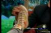Thumb_early show 2005 559